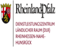Logo DLR-RNH